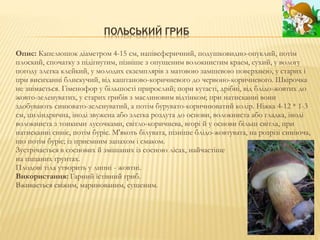 Характеристика та поширення