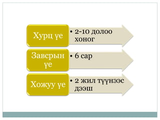 • 2-10 долоо
хоногХурц үе
• 6 сарЗавсрын
үе
• 2 жил түүнээс
дээшХожуу үе
 