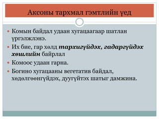 Аксоны тархмал гэмтлийн үед
 Комын байдал удаан хугацаагаар шатлан
үргэлжлэнэ.
 Их бие, гар хөлд тархигүйдэх, гадаргүйдэх
хөшлийн байрлал
 Комоос удаан гарна.
 Богино хугацааны вегетатив байдал,
хөдөлгөөнгүйдэх, дуугүйтэх шатыг дамжина.
 