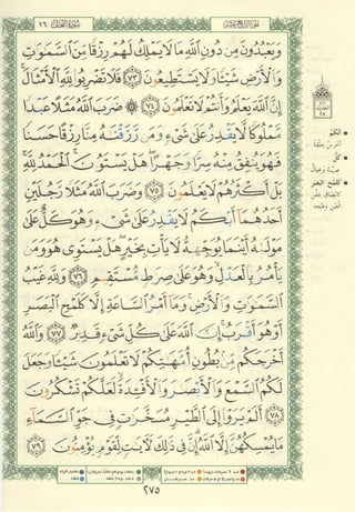 مصـحـف التجــويـد الملون - القران الكريم 