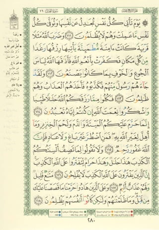 مصـحـف التجــويـد الملون - القران الكريم 