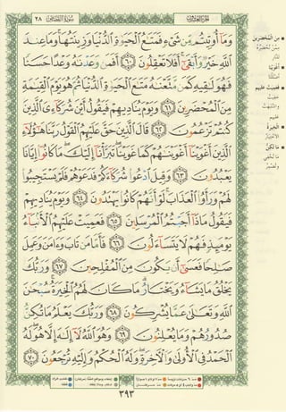 مصـحـف التجــويـد الملون - القران الكريم 