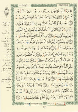 مصـحـف التجــويـد الملون - القران الكريم 