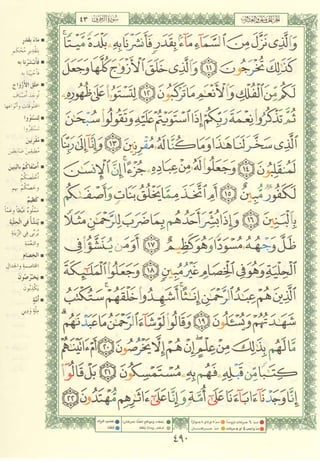 مصـحـف التجــويـد الملون - القران الكريم 