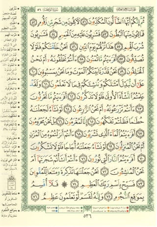 مصـحـف التجــويـد الملون - القران الكريم 