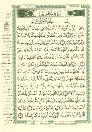 مصـحـف التجــويـد الملون - القران الكريم 