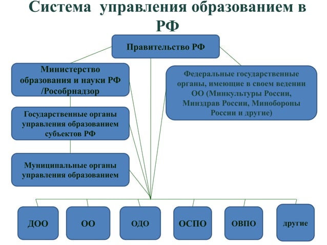 Структура министерства науки и высшего образования рф схема