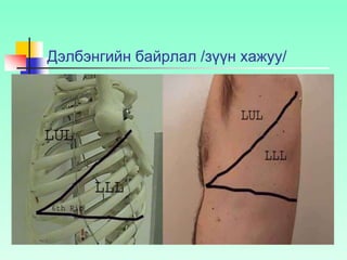 Дэлбэнгийн байрлал /зүүн хажуу/
 