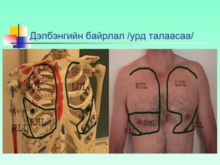 Дэлбэнгийн байрлал /урд талаасаа/
 