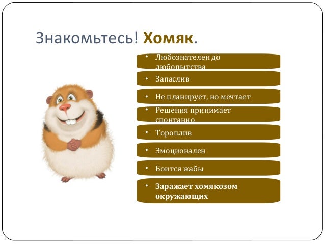 Знакомьтесь! Хомяк.
<br>• Любознателен до
<br>любопытства
<br>• Запаслив
<br>• Не планирует, но мечтает
<br>• Решения принимает
<br>спонтанно
<br>• То...
