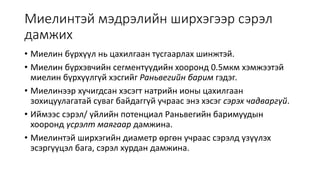 эдийн физиологи | PPT
