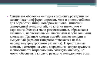 Желудок | PPT