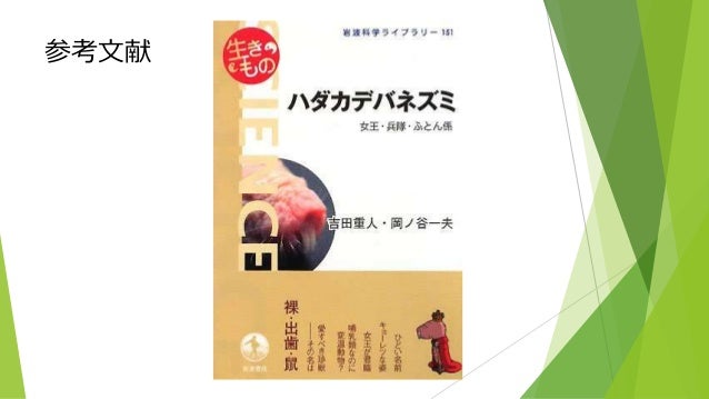 ハダカデバネズミ