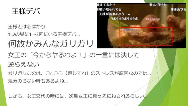 ハダカデバネズミ