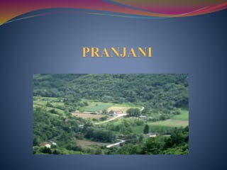 Pranjani