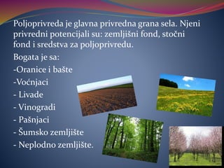Poljoprivreda je glavna privredna grana sela. Njeni
privredni potencijali su: zemljišni fond, stočni
fond i sredstva za poljoprivredu.
Bogata je sa:
-Oranice i bašte
-Voćnjaci
- Livade
- Vinogradi
- Pašnjaci
- Šumsko zemljište
- Neplodno zemljište.
 