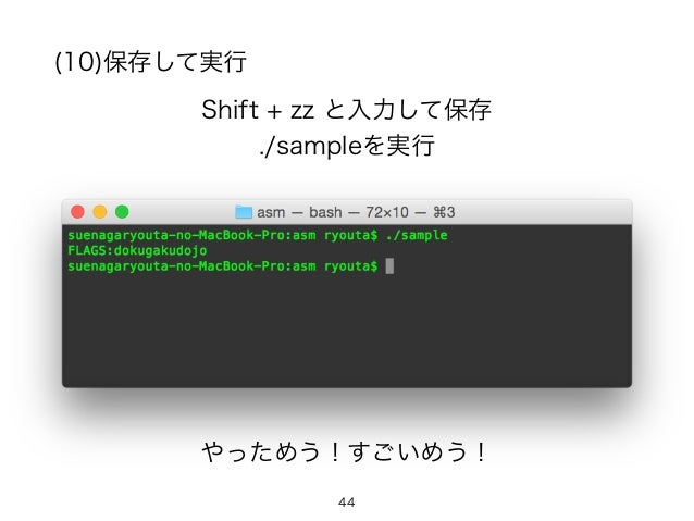 独学道場アセンブリの会 独学道場アセンブリの会