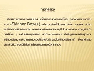 การทดลอง
สาหรับการทดลองของสกินเนอร์ เขาได้สร้างกล่องทดลองขึ้นซึ่ง กล่องทดลองของสกิน
เนอร์ (Skinner Boxes) จะประกอบด้วยที่ใส่อาหาร คันโยก หลอดไฟ คันโยก
และที่ใส่อาหารเชื่อมติดต่อกัน การทดลองเริ่มโดยการจับหนูไปใส่กล่องทดลอง เมื่อหนูหิวจะวิ่ง
วนไปเรื่อย ๆ และไปเหยียบถูกคันโยก ก็จะมีอาหารตกลงมา ทาให้หนูเกิดการเรียนรู้ว่าการ
เหยียบคันโยกจะได้รับอาหารครั้งต่อไปเมื่อหนูหิวก็จะตรงไปเหยียบคันโยกทันที ซึ่งพฤติกรรม
ดังกล่าวถือว่าหนูตัวนี้เกิดการเรียนรู้แบบการลงมือกระทาเอง
 