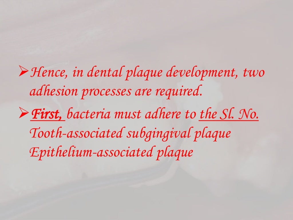 Dental plaque formation
