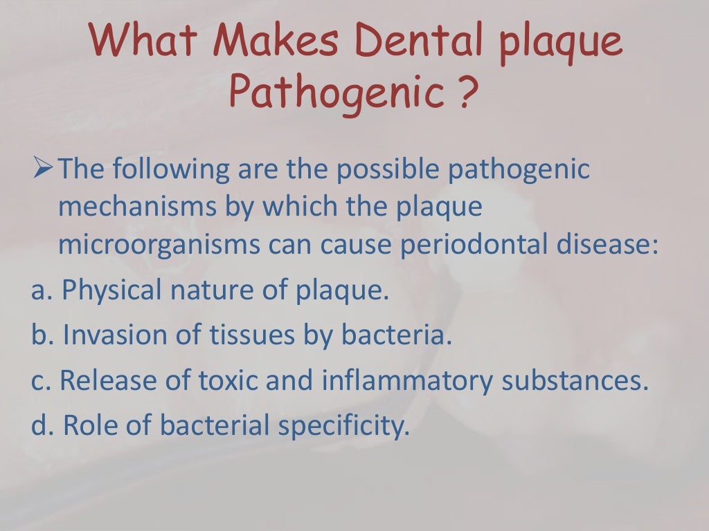 Dental plaque formation