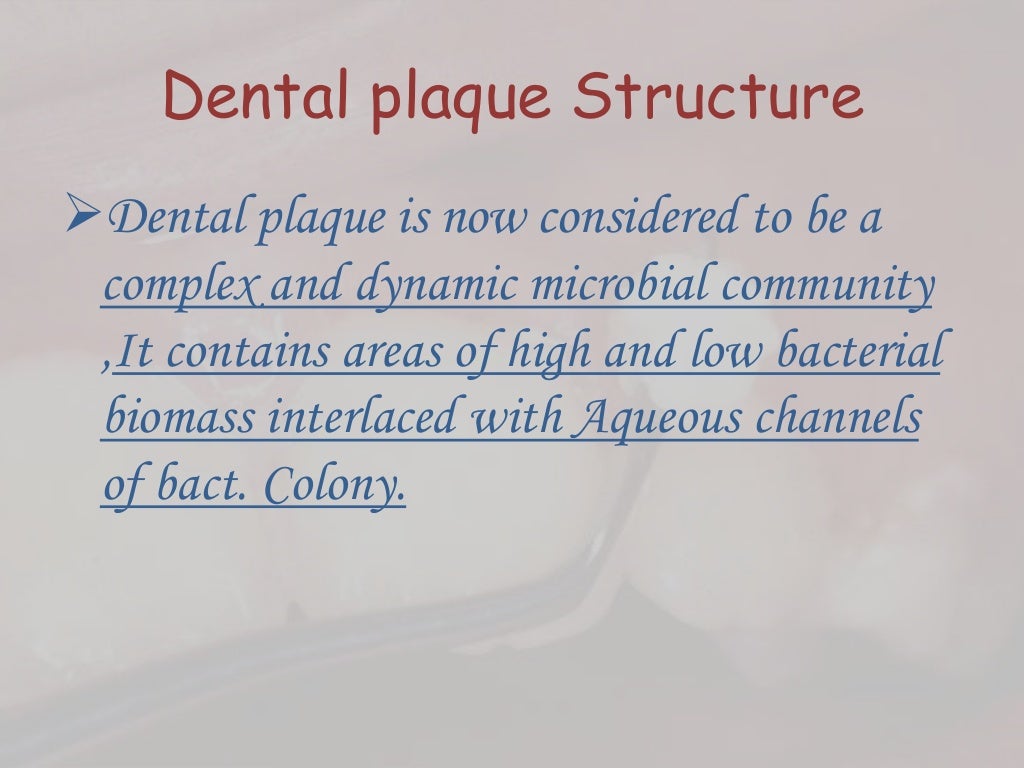 Dental plaque formation