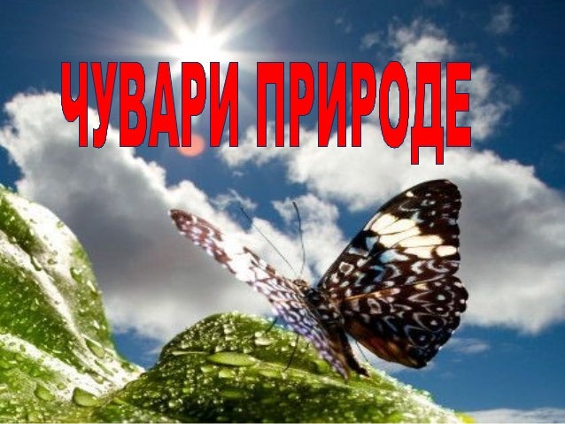 екологија