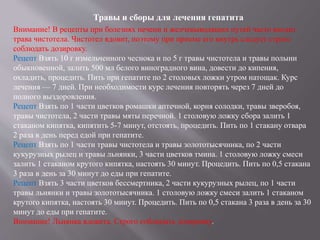 Отравление полынью: как избежать и что делать