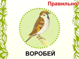 ВОРОБЕЙ
Правильно!
 