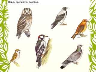 Найди среди птиц воробья.
 
