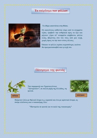 Το έθιμο απαντάται στη Θάσο.
Οι οικογένειες κάθονται γύρω από το αναμμένο
τζάκι, τραβούν την ανθρακιά προς τα έξω και
ρίχνουν γύρω στ' αναμμένα κάρβουνα, φύλλα
ελιάς, βάζοντας στο νου τους από μια ευχή,
χωρίς όμως να την πουν στους άλλους.
Όποιου το φύλλο γυρίσει περισσότερο, εκείνου
θα πραγματοποιηθεί και η ευχή του.
Την παραμονή των Χριστουγέννων
"παντρεύουν", σε πολλά μέρη της Ελλάδας, τη
φωτιά.
Παίρνουν ξύλο με θηλυκό όνομα π.χ. κερασιά και ένα με αρσενικό όνομα, ας
πούμε πλάτανος και ο νοικοκύρης λέει:
"Παντρεύω σε φωτιά για το καλό της νοικοκυράς"
Το σπόρδισμα των φύλλων
Το σπόρδισμα των φύλλων
Πάντρεμα της φωτιάς
ΚΕΡΑΣΙΑ ΠΛΑΤΑΝΟΣ
 