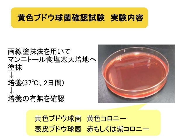 Application Of Food Additive For Reduce Of Bacteria On Vegetable Application Of Food Additive For Reduce Of Bacteria On Vegetable