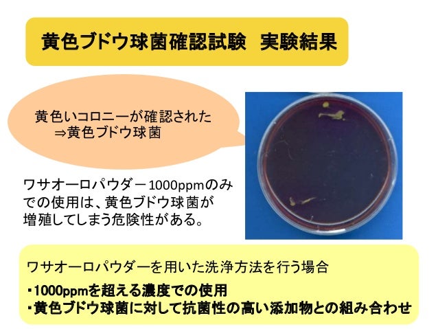 Application Of Food Additive For Reduce Of Bacteria On Vegetable Application Of Food Additive For Reduce Of Bacteria On Vegetable