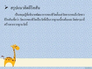  สรุปแนวคิดอีริคสัน
เป็นทฤษฎีที่อธิบายพัฒนาการของชีวิตตั้งแต่วัยทารกจนถึงวัยชรา
อีริคสันเชื่อว่า วัยแรกของชีวิตเป็นวัยที่เป็นรากฐานเบื้องต้นและวัยต่อๆมาก็
สร้างจากรากฐานวัยนี้
 