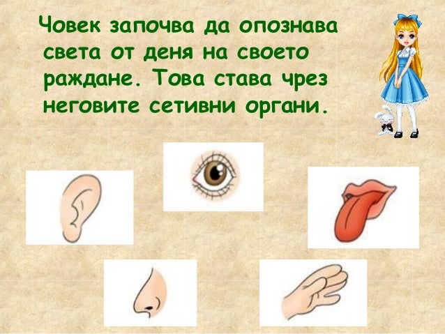 човешкото тяло