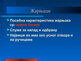 ЖарњациЖарњаци
Посебна карактеристика жарњака
су- жарне ћелије
Служе за напад и одбрану
Највише их има око усног отвора и
на ручицама
 