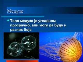 МедузеМедузе
Тело медуза је углавном
прозрачно, али могу да буду и
разних боја
 