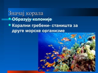 Значај коралаЗначај корала
Образују колоније
Корални гребени- станишта за
друге морске организме
 