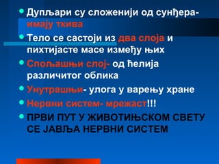 Дупљари су сложенији од сунђера-
имају ткива
Тело се састоји из два слоја и
пихтијасте масе између њих
Спољашњи слој- од ћелија
различитог облика
Унутрашњи- улога у варењу хране
Нервни систем- мрежаст!!!
ПРВИ ПУТ У ЖИВОТИЊСКОМ СВЕТУ
СЕ ЈАВЉА НЕРВНИ СИСТЕМ
 