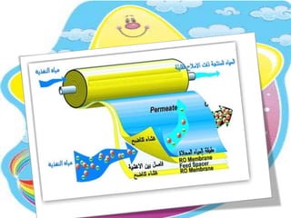 الدرس التوضيحي