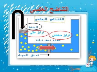 ‫منخفض‬ ‫تركيز‬
‫عالي‬ ‫تركيز‬
 