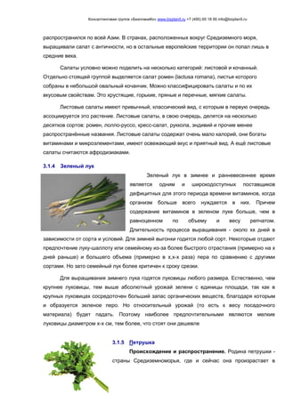 Консалтинговая группа «БизпланиКо» www.bizplan5.ru +7 (495) 65 18 95 info@bizplan5.ru
распространился по всей Азии. В странах, расположенных вокруг Средиземного моря,
выращивали салат с античности, но в остальные европейские территории он попал лишь в
средние века.
Салаты условно можно поделить на несколько категорий: листовой и кочанный.
Отдельно стоящей группой выделяется салат ромен (lactusa romana), листья которого
собраны в небольшой овальный кочанчик. Можно классифицировать салаты и по их
вкусовым свойствам. Это хрустящие, горькие, пряные и перечные, мягкие салаты.
Листовые салаты имеют привычный, классический вид, с которым в первую очередь
ассоциируется это растение. Листовые салаты, в свою очередь, делятся на несколько
десятков сортов: ромен, лолло-руссо, кресс-салат, руккола, эндивий и прочие менее
распространённые названия. Листовые салаты содержат очень мало калорий, они богаты
витаминами и микроэлементами, имеют освежающий вкус и приятный вид. А ещё листовые
салаты считаются афродизиаками.
3.1.4 Зеленый лук
Зеленый лук в зимнее и ранневесеннее время
является одним и широкодоступных поставщиков
дефицитных для этого периода времени витаминов, когда
организм больше всего нуждается в них. Причем
содержание витаминов в зеленом луке больше, чем в
равноценном по объему и весу репчатом.
Длительность процесса выращивания - около хх дней в
зависимости от сорта и условий. Для зимней выгонки годится любой сорт. Некоторые отдают
предпочтение луку-шаллоту или семейному из-за более быстрого отрастания (примерно на х
дней раньше) и большего объема (примерно в х,х-х раза) пера по сравнению с другими
сортами. Но зато семейный лук более критичен к сроку срезки.
Для выращивания зимнего лука годятся луковицы любого размера. Естественно, чем
крупнее луковицы, тем выше абсолютный урожай зелени с единицы площади, так как в
крупных луковицах сосредоточен больший запас органических веществ, благодаря которым
и образуется зеленое перо. Но относительный урожай (то есть к весу посадочного
материала) будет падать. Поэтому наиболее предпочтительными являются мелкие
луковицы диаметром х-х см, тем более, что стоят они дешевле
3.1.5 Петрушка
Происхождение и распространение. Родина петрушки -
страны Средиземноморья, где и сейчас она произрастает в
 