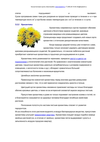 Консалтинговая группа «БизпланиКо» www.bizplan5.ru +7 (495) 65 18 95 info@bizplan5.ru
слегка подсушивают и высевают.
Сухое прогревание семян тоже для ускорения их прорастании проводят в течение х—х ч при
температуре около хх°,а при более низких температурах (хх—хх°) в течение х—х суток.
3.2.2 Хризантемы
Хризантемы современных сортов поражают обилием
цветения и богатством окраски соцветий, красивым
строением махровых или ромашковидных цветков.
Селекционеры мира продолжают создавать всё новые сорта
хризантем с отличными декоративными качествами.
Когда природа средней полосы уже готовится к зиме,
хризантемы только начинают радовать цветоводов яркими
красками раскрывающихся соцветий. Не удивительно, что многие любители растений
приобретают компактные хризантемы в горшочках для выращивания их в доме.
Хризантемы легко размножаются черенками, прекрасно растут и цветут на
подоконниках у почитателей этих растений. По сравнению с экзотическими комнатными
цветами, горшечные хризантемы довольно нетребовательны к условиям содержания (к
освещению, к кислотности почвы и др.), обладают сравнительно большей
сопротивляемостью болезням и насекомым-вредителям.
Целебные свойства хризантемы
Превосходство комнатной хризантемы перед многими другими домашними
растениями связано с тем, что в ней гармонично соединились красота и польза.
Цветущий кустик хризантемы неизменно привлекает взгляды не только благодаря
обилию красивых цветков, а также из-за интересной сизоватой окраски ажурных листьев.
Присутствие хризантемы в доме не только поднимает настроение хозяев и гостей, но
и благоприятно сказывается на здоровье человека благодаря лечебным свойствам
растения.
Полоскание полости рта настоем листьев хризантемы спасает от развития
пародонтоза.
Из-за способности этого растения выделять в воздух бактерицидные вещества, присутствие
хризантемы улучшает микроклимат квартиры. Хризантема очищает воздух подобно живице
хвойных растений (но, в отличие от хвойных, хризантема легче выдерживает сухость и
запыленность воздуха городских квартир).
 