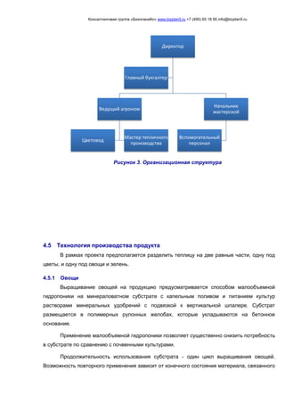 Консалтинговая группа «БизпланиКо» www.bizplan5.ru +7 (495) 65 18 95 info@bizplan5.ru
Рисунок 3. Организационная структура
4.5 Технология производства продукта
В рамках проекта предполагается разделить теплицу на две равные части, одну под
цветы, и одну под овощи и зелень.
4.5.1 Овощи
Выращивание овощей на продукцию предусматривается способом малообъемной
гидропоники на минераловатном субстрате с капельным поливом и питанием культур
растворами минеральных удобрений с подвязкой к вертикальной шпалере. Субстрат
размещается в полимерных рулонных желобах, которые укладываются на бетонное
основание.
Применение малообъемной гидропоники позволяет существенно снизить потребность
в субстрате по сравнению с почвенными культурами.
Продолжительность использования субстрата - один цикл выращивания овощей.
Возможность повторного применения зависит от конечного состояния материала, связанного
Директор
Ведущий агроном
Цветовод
Мастер тепличного
производства
Начальник
мастерской
Вспомогательный
персонал
Главный бухгалтер
 
