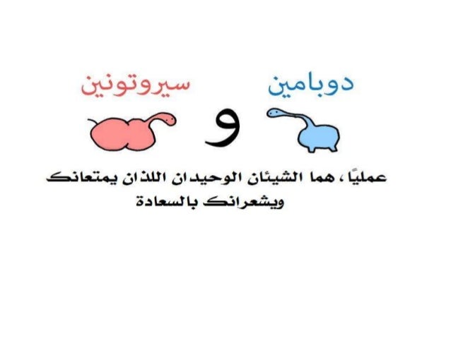 Mdra4lhtqkzcfm