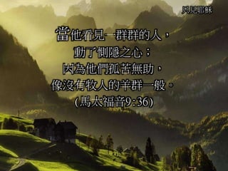 只見耶穌
當他看見一群群的人，
動了惻隱之心；
因為他們孤苦無助，
像沒有牧人的羊群一般。
(馬太福音9:36)
 