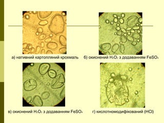 а) нативний картопляний крохмаль б) окиснений Н2О2 з додаванням FeSO4
в) окиснений Н2О2 з додаванням FeSO4 г) кислотномодифікований (НCl)
 