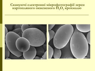 Скануючі електронні мікрофотографії зерен
картопляного окисненого Н2О2 крохмалю
 