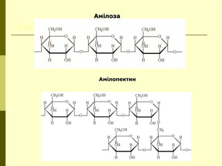 Амілоза
АмілозаАмілоза
АмілопектинАмілопектин
 