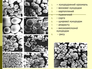 1. – кукурудзяний крохмаль
2. - воскової кукурудзи
3. - картопляний
4. - пшеничний
5. - сорго
6. - цукрової кукурудзи
7. - амаранту
8. - високоамілозної
кукурудзи
9. - рису
 