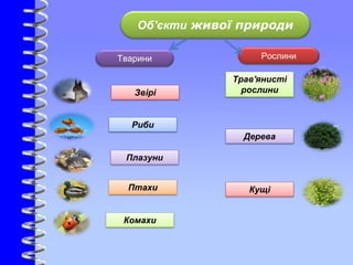 Рослини
Об'єкти живої природи
Плазуни
Кущі
Трав'янисті
рослини
Тварини
Птахи
Риби
Звірі
Комахи
Дерева
 